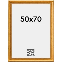Rokoko Guld 50x70